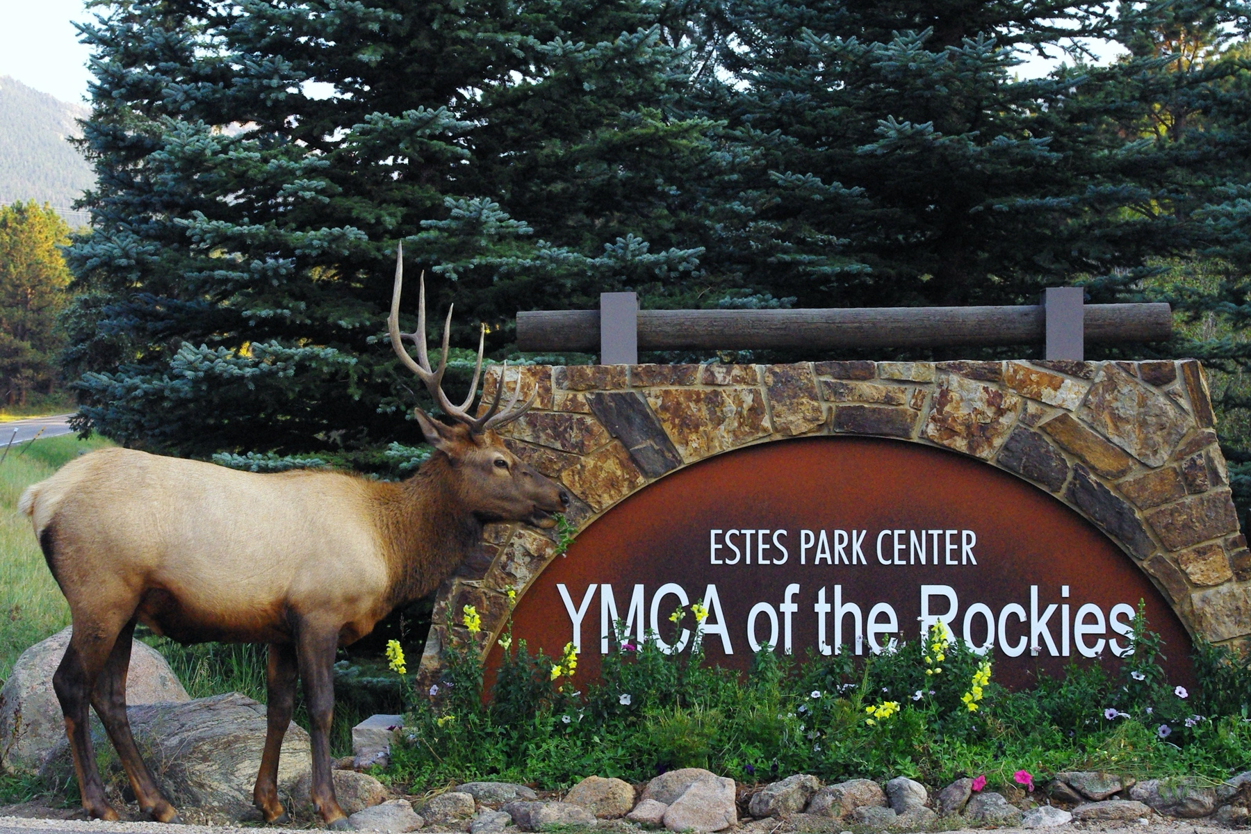 YMCA Elk sign